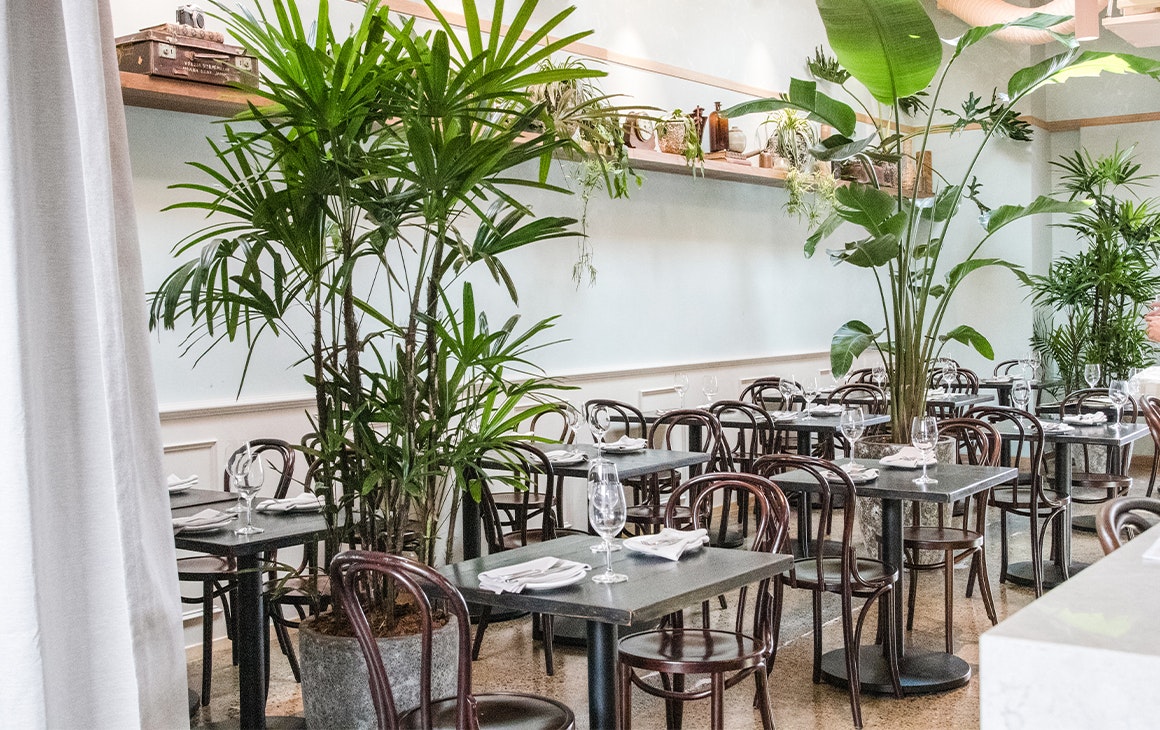 a dining room with dark wooden tables and chairs and several plants